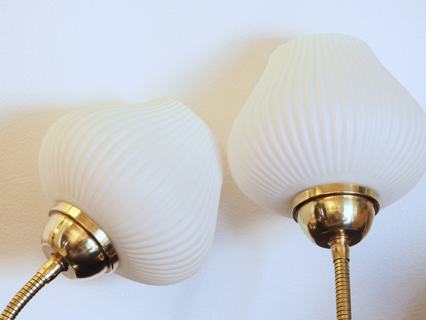 Duo d'appliques tulipe en laiton