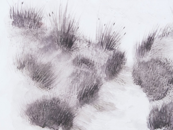 BCCJ AQUARELLES Monochrome dans les dunes de Pen Bron